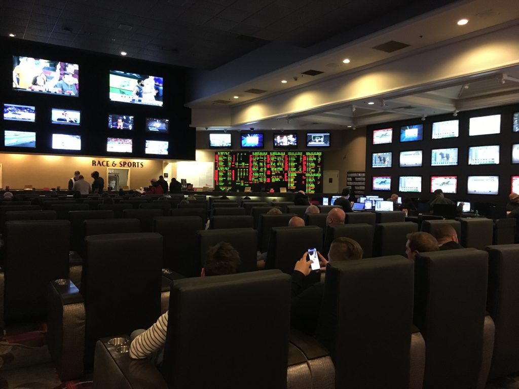 flamingo sportsbook review