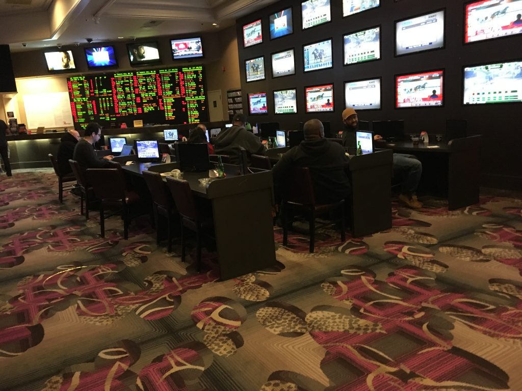 flamingo sportsbook review