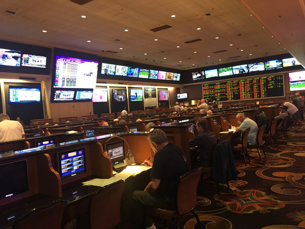 Suncoast Sportsbook Review | 2024 Review of Sports Betting at Suncoast ...